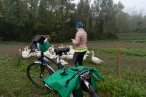 Timor Freiman with ducks